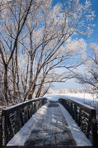 Winter Crossing