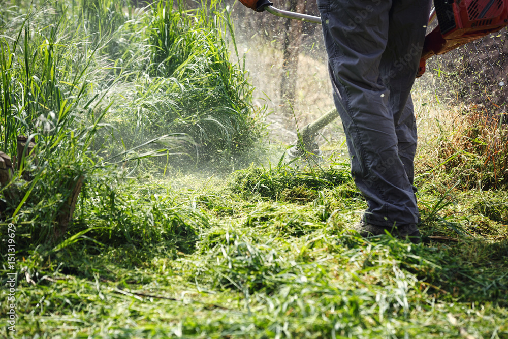 mowing trimmer - men worker cutting grass. mowing trimmer - men worker cutting grass.