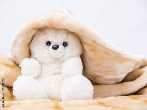 Teddy bear covered by a blanket and with white background