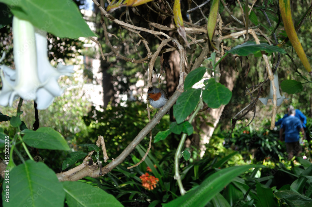 Fototapeta premium donde está ....?