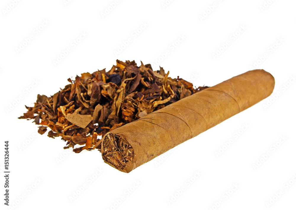 Tobacco and cigar isolated on white background Tobacco and cigar isolated on white background