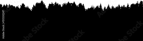 forest vector silhouette