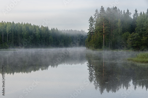 Early morning on the forest lake. Fog. Reflection on water.