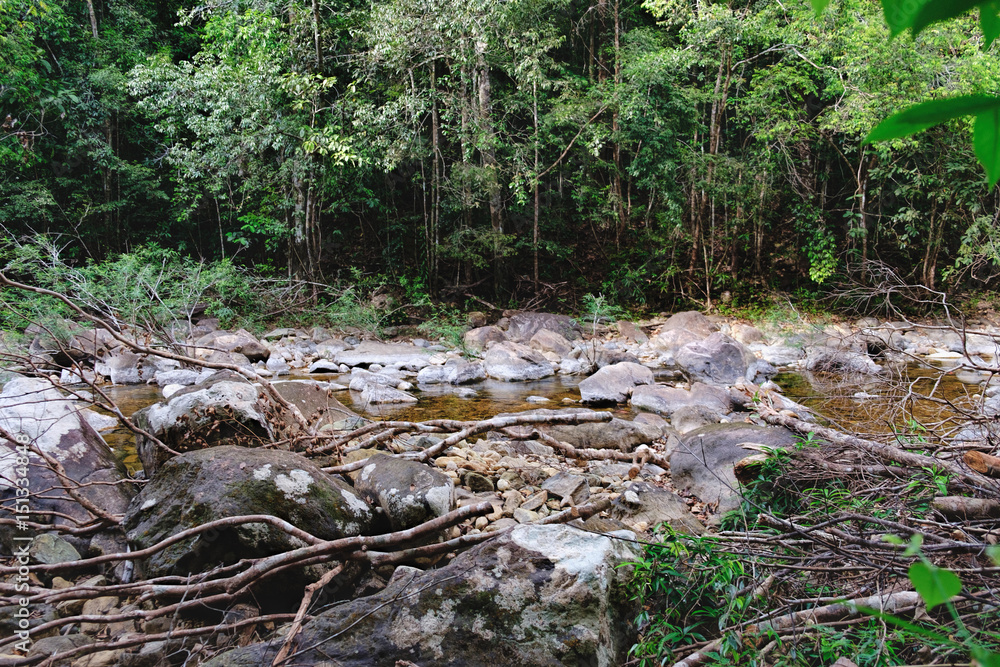 Thai dark tropical forest and rapid mountain river in Mu Koh Chang National Park, Chang island, Thailand. Path to the Khlong Phlu waterfall is littered with dry branches. Natural background. Thai dark tropical forest and rapid mountain river in Mu Koh Chang National Park, Chang island, Thailand. Path to the Khlong Phlu waterfall is littered with dry branches. Natural background.