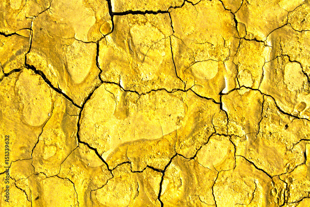Dry Lake Surfaces Dry Lake Surfaces