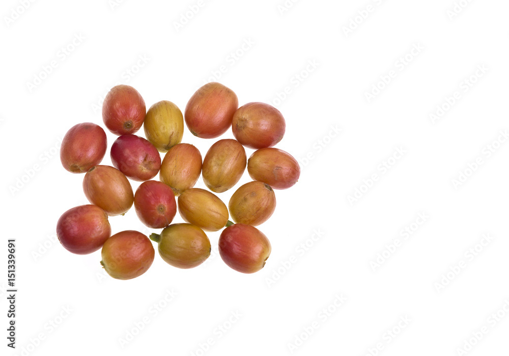 Coffee Beans Yellow and Half-ripe Coffee Beans Yellow and Half-ripe