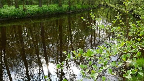 Creek with Mirror Refledtion in the Water Surface. Panning.Handheld. photo