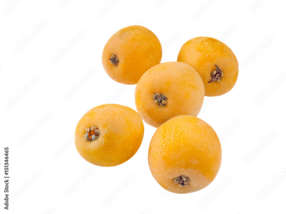 Loquat fruits