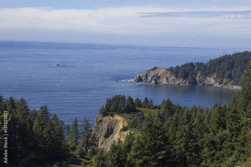 Fototapeta premium Oregon Coast