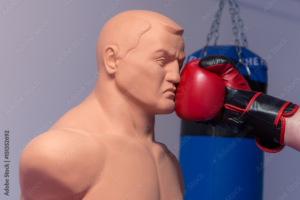 Red boxing gloves punching a dummy mannequin doll on a gym with a blue  punching bag on the background Stock Photo | Adobe Stock
