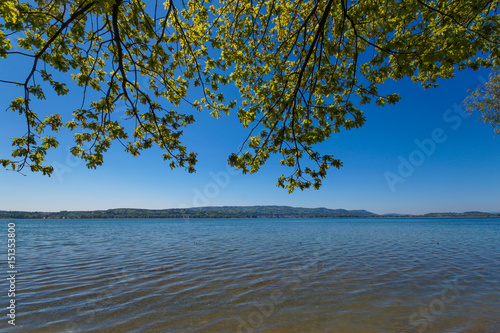 Fototapeta Naklejka Na Ścianę i Meble -  Bodensee zur Sommerzeit mit blauen Himmel 
