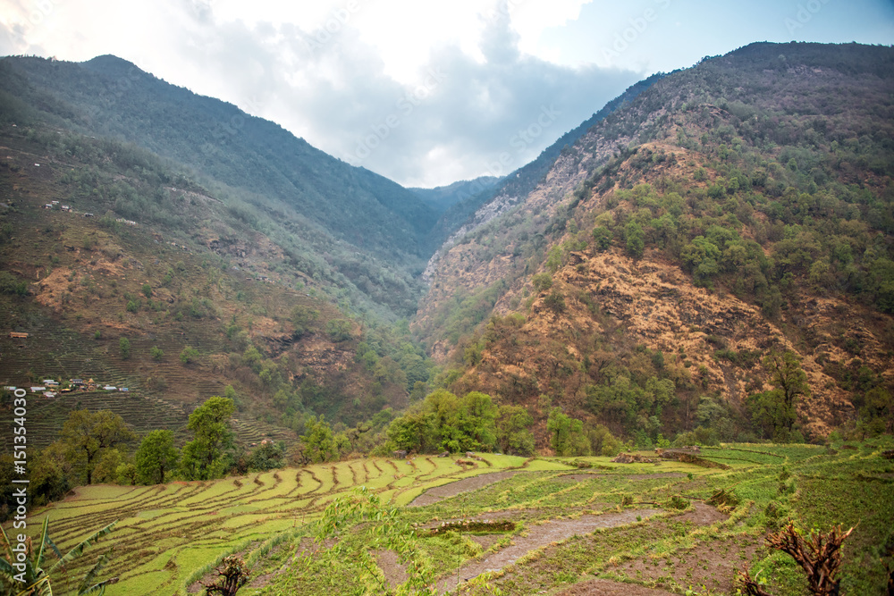 Widok na tarasowe pola uprawne na trasie trekkingu do Poon Hill w Nepalu.