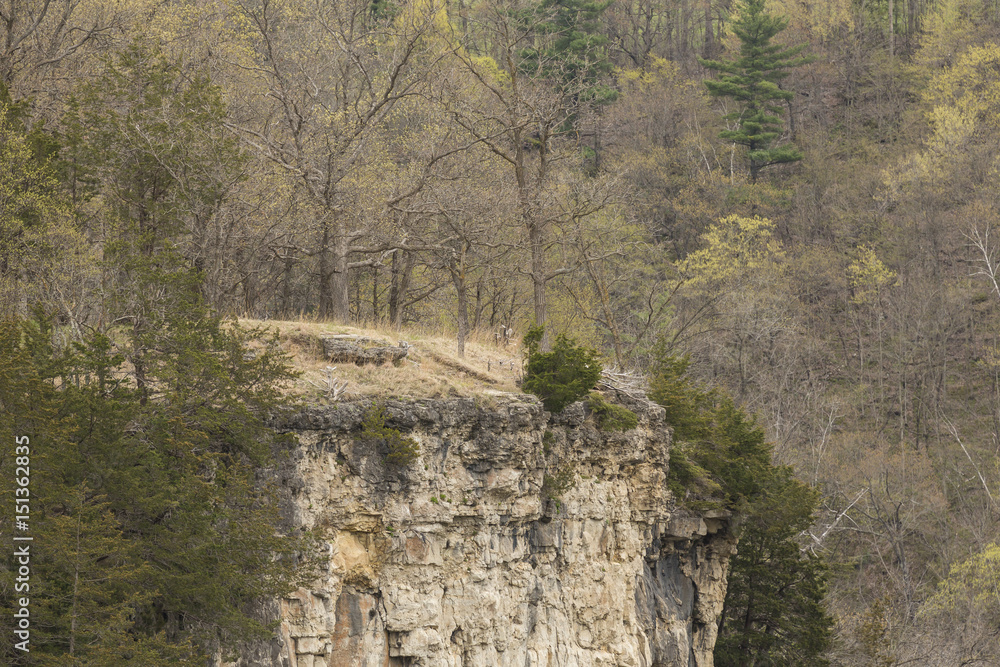 Cliff In The Woods During Spring