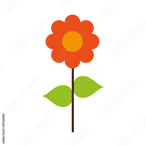 Beautiful and natural flower vector illustration graphic design
