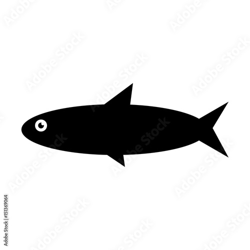 Fish sea animal vector illustration graphic design