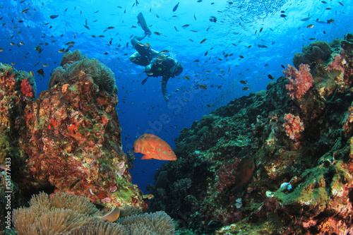 Scuba diver ecplores coral reef