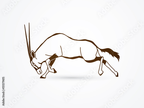 Tablou pe pânză Oryx jumping to attack with long horn outline graphic vector