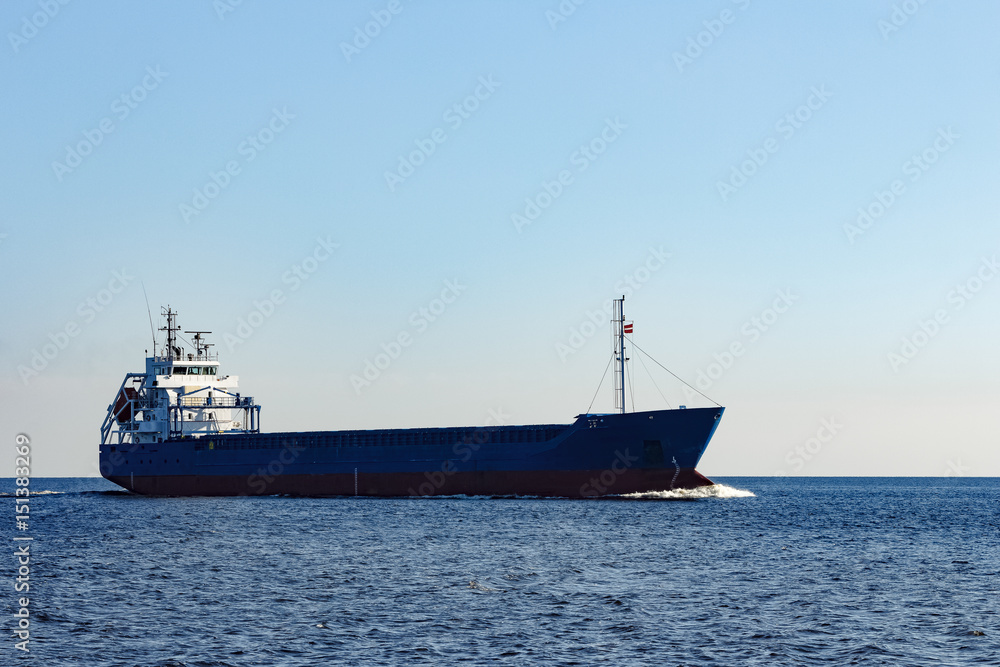 Blue bulk carrier