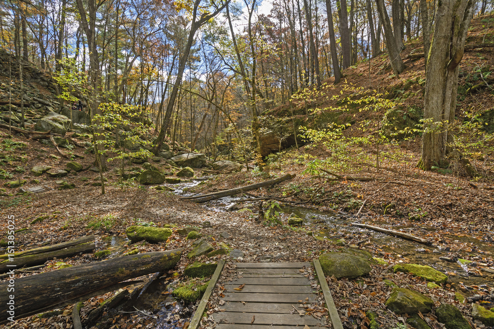 Quiet Stream Through the Fall Forest Quiet Stream Through the Fall Forest