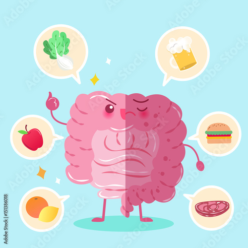 intestine with health concept