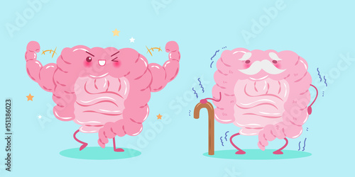 intestine with health concept