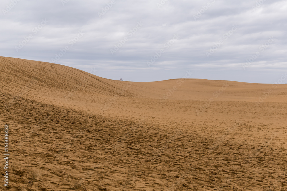 Tottori Dunes in Japan