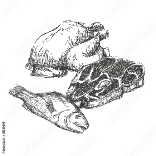 Wallpaper Mural meat hand drawn collection. set of different kinds of meat. vector illustration Torontodigital.ca