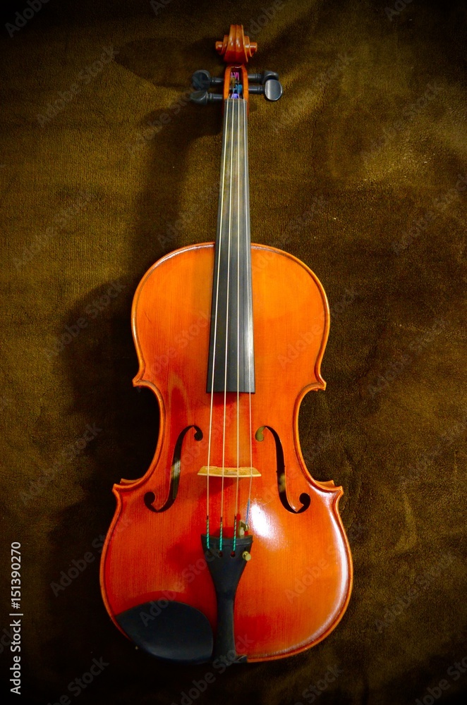 バイオリン・ヴィオラ