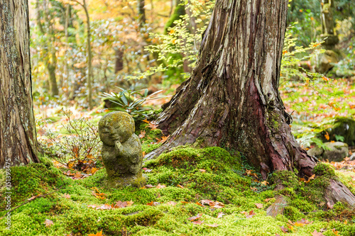 Garden of sanzenin in japan