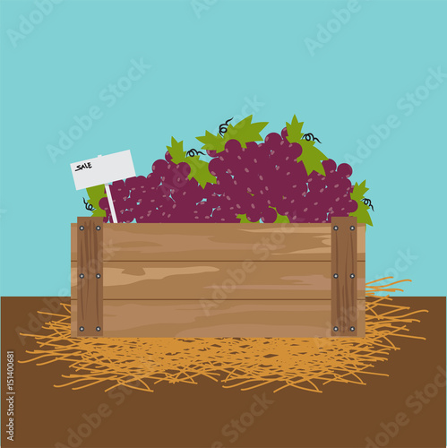 grape in a wooden crate Vector illustration