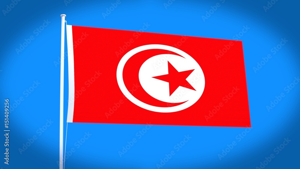 Obraz premium the national flag of Tunisia