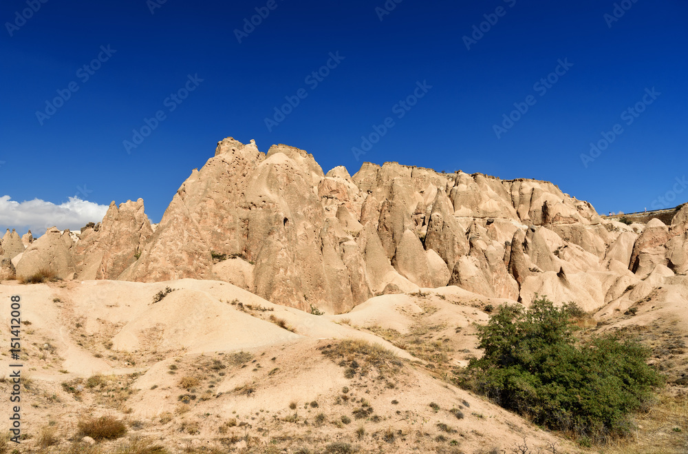 Fototapeta premium Devrent Valley in Cappadocia. Turkey
