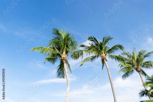 Klong Prao Beach Koh Chang Trad Thailand