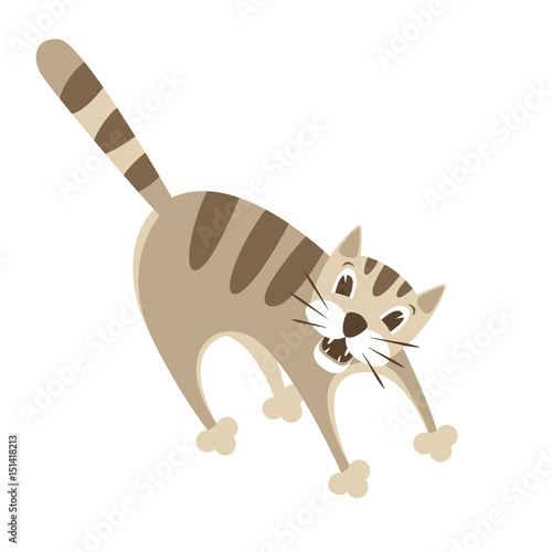 crazy  cat vector illustration style Flat cartoon