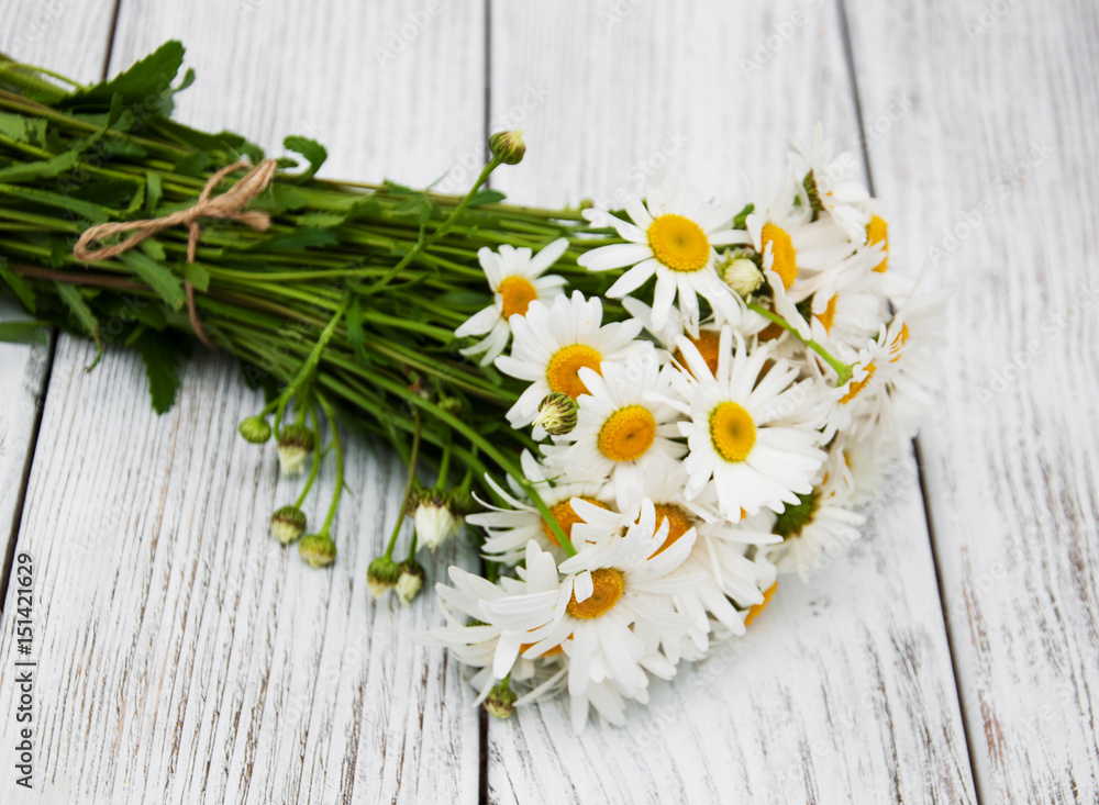 bouquet of daisies