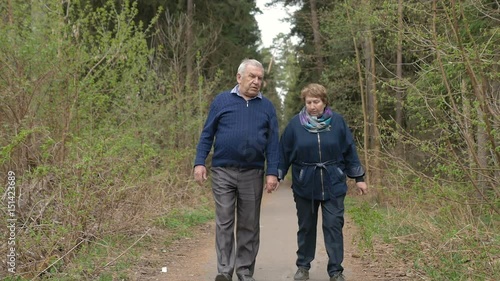 Wallpaper Mural A beautiful elderly couple, walking in the park, talking kindly. Good mood, positive life. Love each other, hold hands. Torontodigital.ca