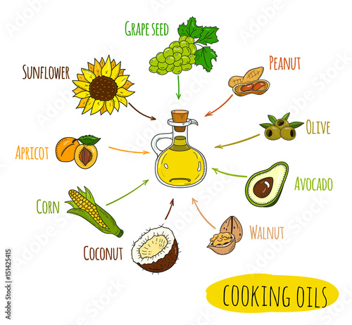 Hand drawn infographic of cooking oil sorts. Different kinds of edible vegetable food oils. With origin products olive, apricot, corn, grape seed, walnut, coconut, avocado, peanut and sunflower.