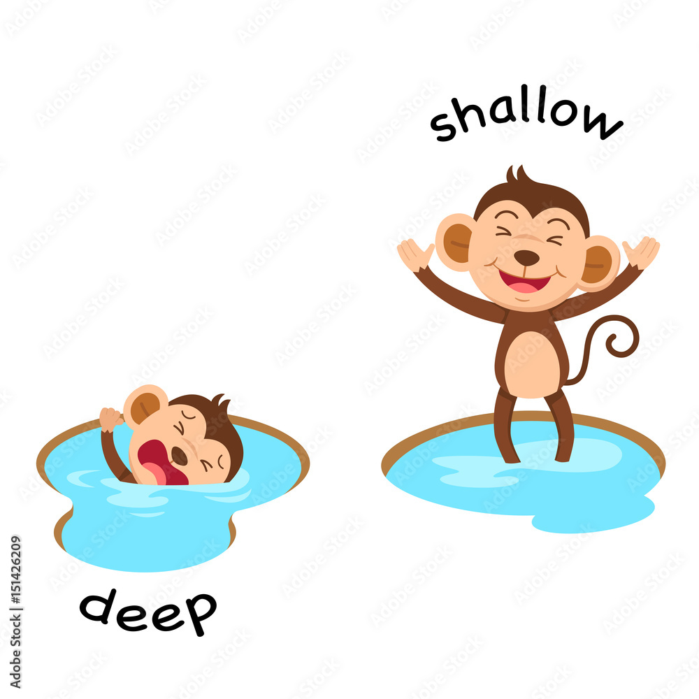 Opposite words deep and shallow vector Stock 벡터 | Adobe Stock