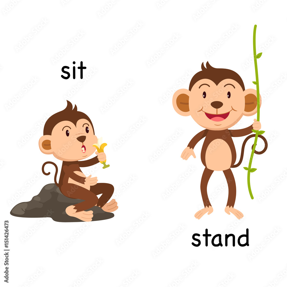 Opposite words sit and stand vector Stock Vector Adobe Stock