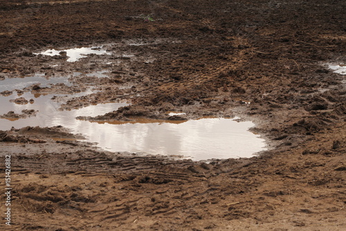 sticky mud and puddles