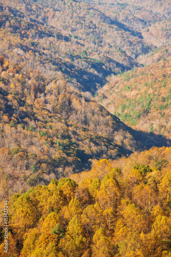 The mountain colorful autumn landscape.