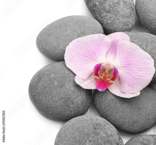 Spa stones and orchid on white background