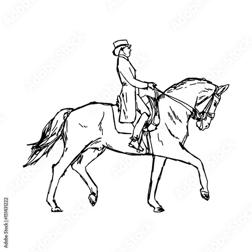 Young rider man on horse at dressage competition equestrian dressage - vector illustration sketch hand drawn with black lines, isolated on white background © a3701027