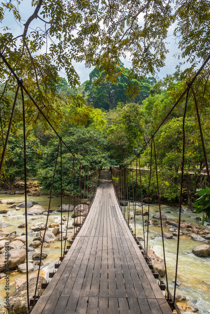 Fototapeta premium Rope bridge across the river in the forest