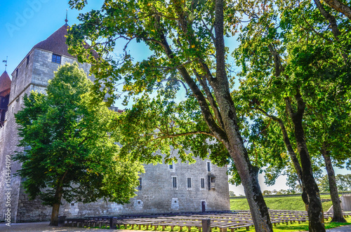 Wooden benches by trees at Kuressaare Castle photo