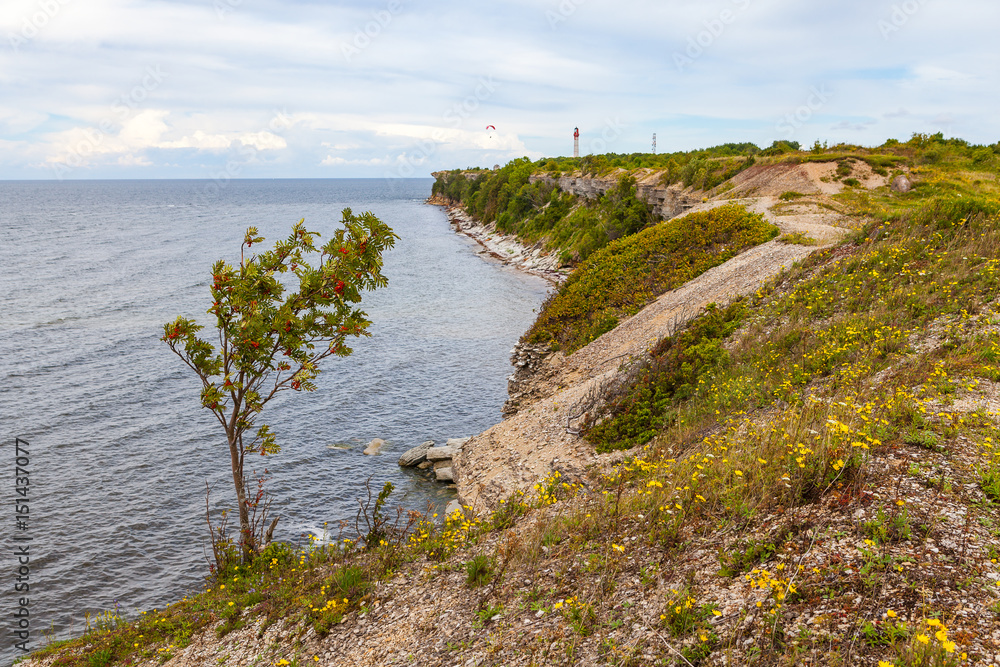 Rocky shore of Baltic sea. Northern Estonia.