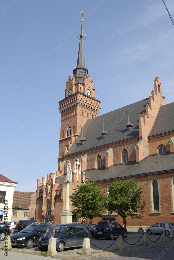 Fototapeta premium Tarnow, Katedra Narodzenia NMP.