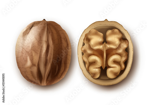 Two ripe walnuts