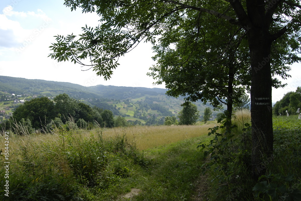 Wisnicko-Lipnicki Park Krajobrazowy.