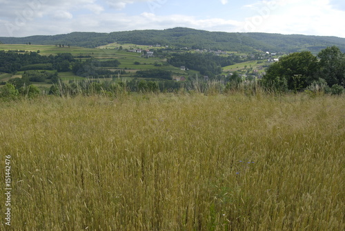 Wisnicko-Lipnicki Park Krajobrazowy.